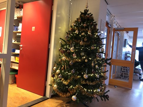 kerst2dwars