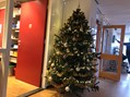kerst2dwars