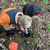 Vandaag hebben de kleuterklassen een kabouterpad over de Herfst gedaan. In het bos hebben de kinderen verschillende opdrachten gedaan over de Herfst. 🍂🍁🍄 
