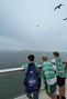 55d0fe09-0230-455b-8310-759061d1a531