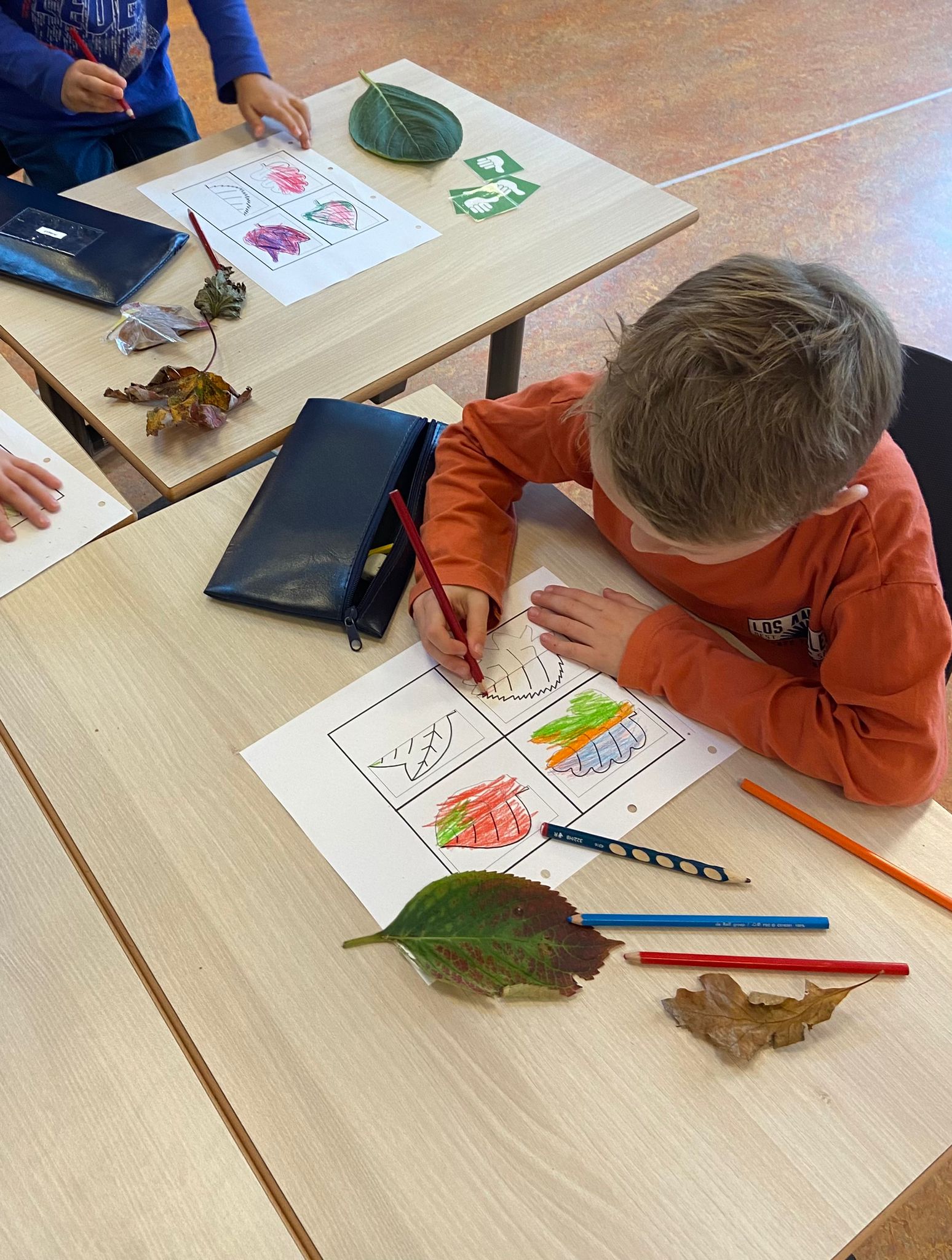 Thema Herfst 🍂🍄