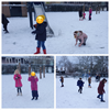 Thema winter in groep 3 ❄️☃️🐦‍⬛