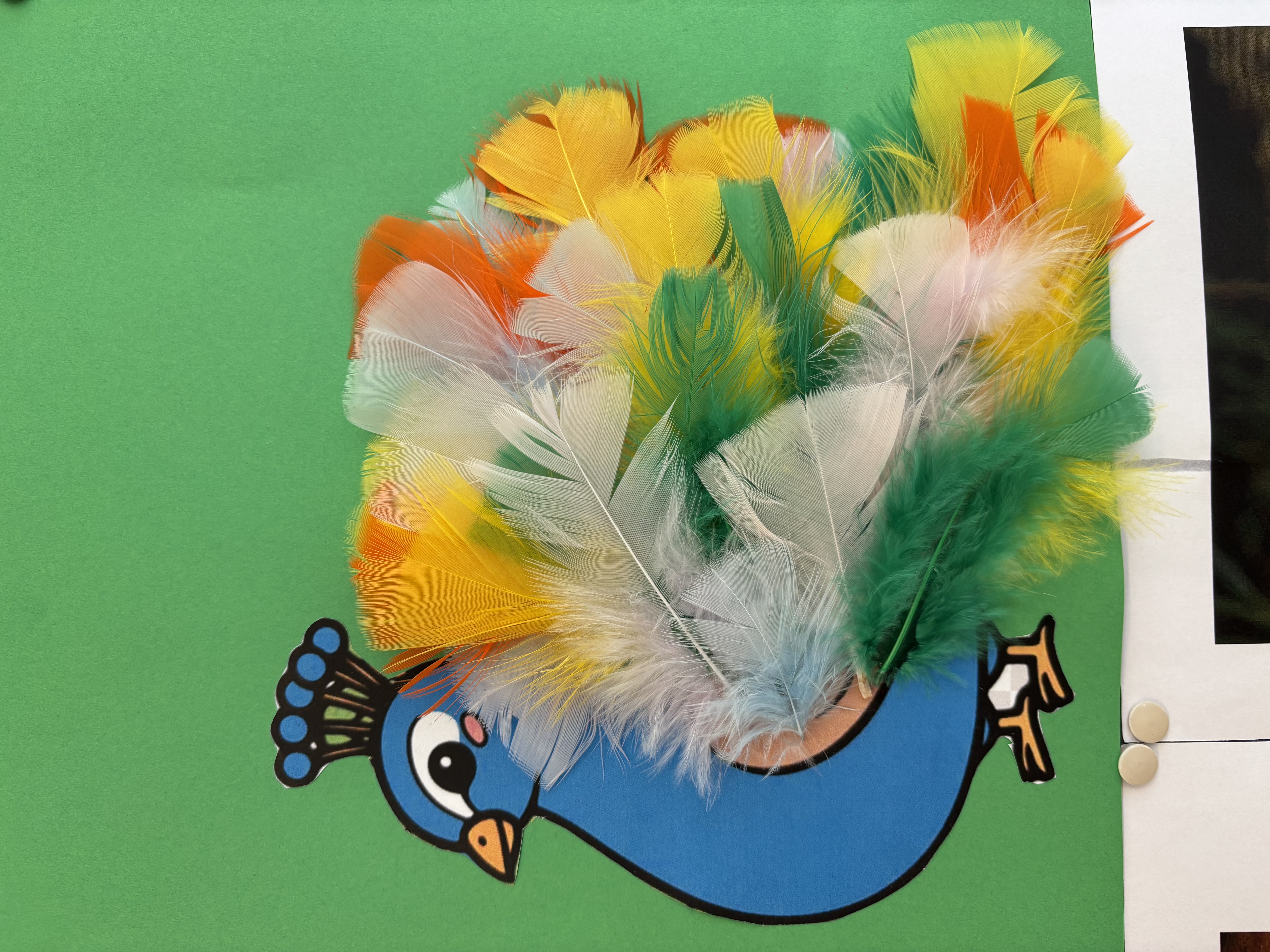 We zijn zo trots als n pauw! 🦚🤩