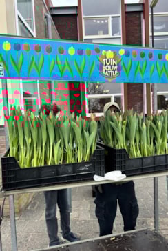 38f4f3c8-1535-48d7-9ba2-0cc78ccb94cf