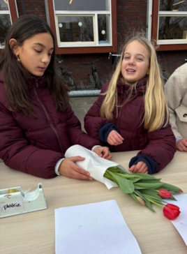 b13cc8e3-30a7-4939-8b99-c94f41ebe4b6