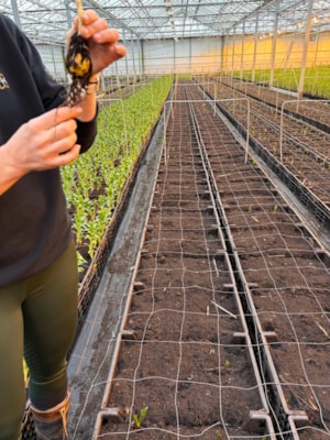 4a8d66ab-34d0-40ee-a7b1-c4f8a4932243