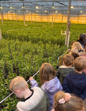 9391d404-d5a2-42c5-b475-fa60ff50ce89