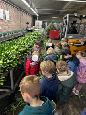 14ed1454-68e1-45c8-a3a6-4b351dbe8c6b