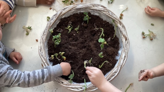 De peuters planten zaadjes en bomen. 🌱🌸