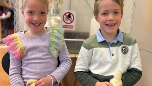 Kuikens geboren! 🐣