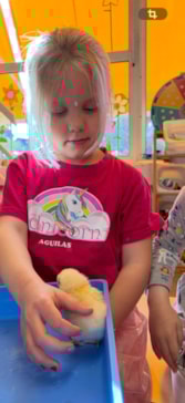 b952c8cf-5030-490c-8d07-73faf0702a6f